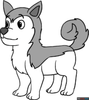 How to Draw a Husky