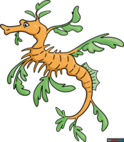 How to Draw a Leafy Sea Dragon