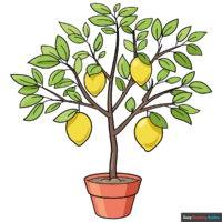 How to Draw a Lemon Tree