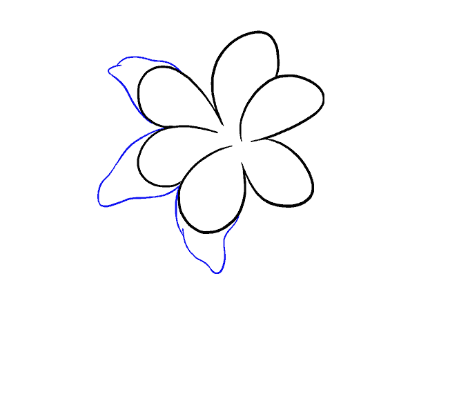 How to draw a Lily Step: 6