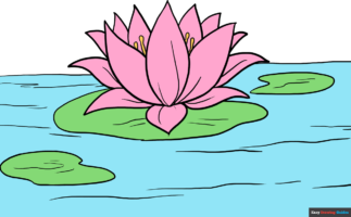 How to Draw a Lotus Flower