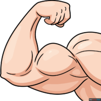 How to Draw a Muscular Arm