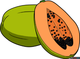 How to Draw a Papaya