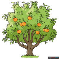 How to Draw a Peach Tree