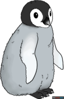 How to Draw a Penguin Chick