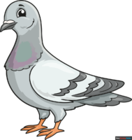 How to Draw a Pigeon