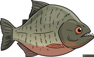 How to Draw a Piranha