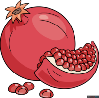 How to Draw a Pomegranate