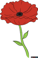 How to Draw a Poppy