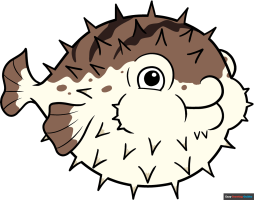 How to Draw a Pufferfish
