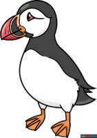 How to Draw a Puffin