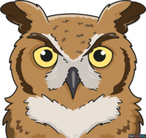 How to Draw a Realistic Owl Face