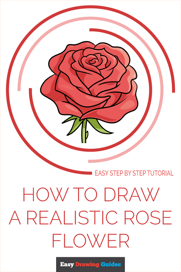 How to Draw a Realistic Rose Flower Pinterest Image
