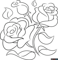 How to Draw a Rose Outline
