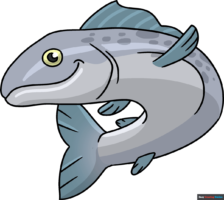 How to Draw a Salmon