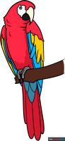 How to Draw a Scarlet Macaw