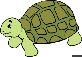 How to Draw a Sea Turtle