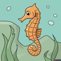 How to Draw a Seahorse