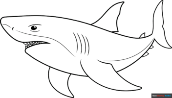 How to Draw a Shark Outline