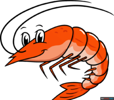 How to Draw a Shrimp