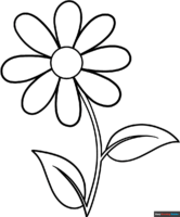 How to Draw a Simple Flower Outline