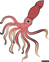 How to Draw a Squid