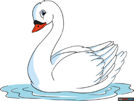 How to Draw a Swan