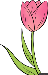 How to Draw a Tulip Featured Image