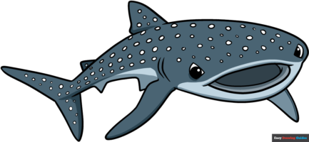 How to Draw a Whale Shark