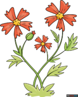 How to Draw a Wild Flower