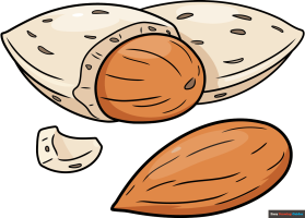 How to Draw an Almond