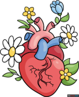 How to Draw an Anatomical Heart with Flowers