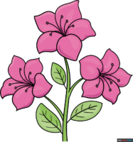 How to Draw an Azalea