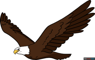 How to Draw an Eagle