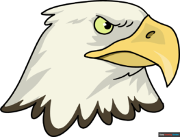 How to Draw an Eagle Head