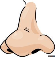 How to Draw a Cartoon Nose