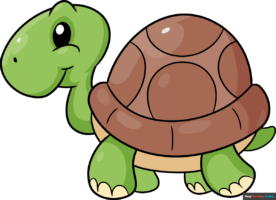How to Draw an Easy Cartoon Turtle for Kids