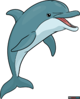 How to Draw an Easy Realistic Dolphin