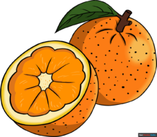 How to Draw an Orange