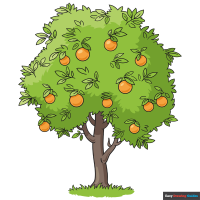 How to Draw an Orange Tree