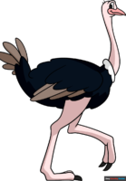 How to Draw an Ostrich