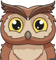 How to Draw an Owl Face