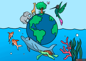 How to Draw Biodiversity