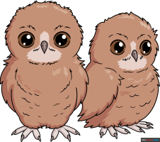 How to Draw Owl Babies