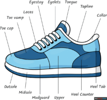 How to Draw Parts of a Shoe for Kids