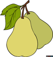 How to Draw Pears