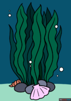 How to Draw Seaweed