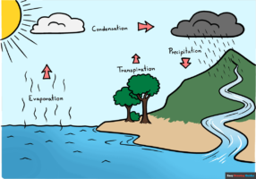 How to Draw the Water Cycle