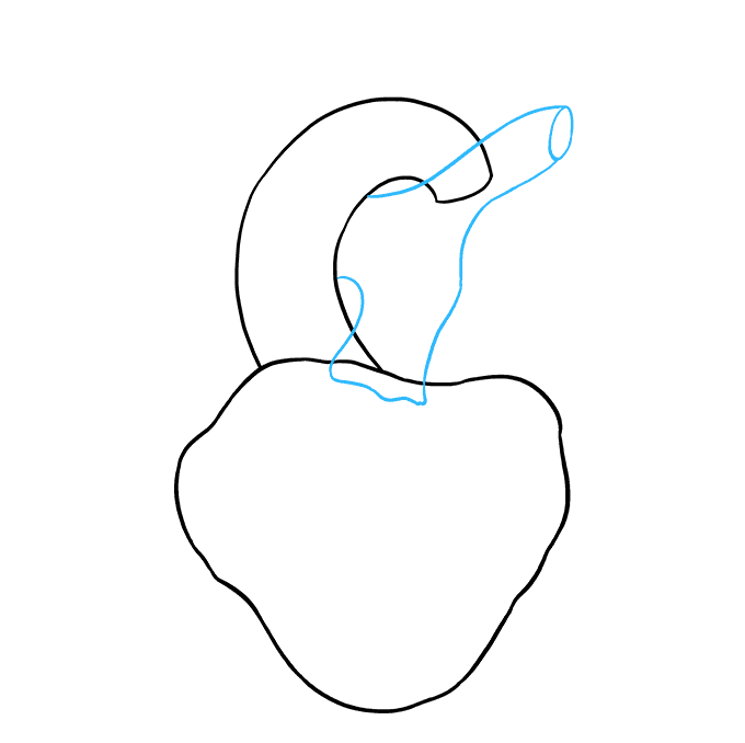 How to Draw a Human Heart Step 03