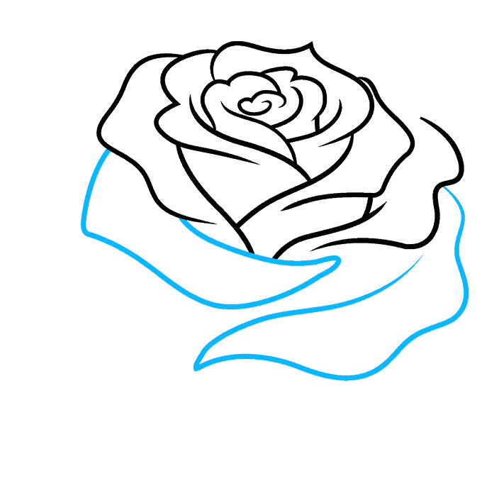Realistic Rose Flower step-by-step drawing tutorial: step 06